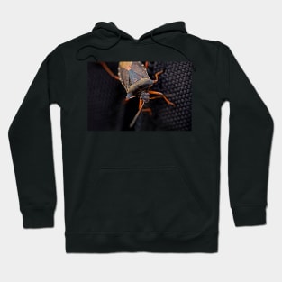 THE HITCHHIKER FOREST SHIELDBUG Hoodie